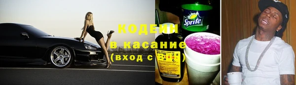 соль ск Осинники