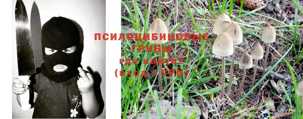 спайс Алзамай
