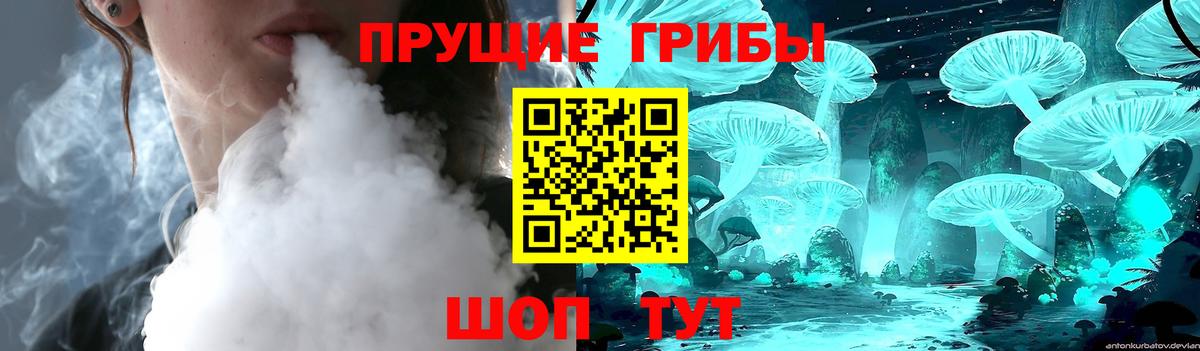 Псилоцибиновые грибы GOLDEN TEACHER Кинешма