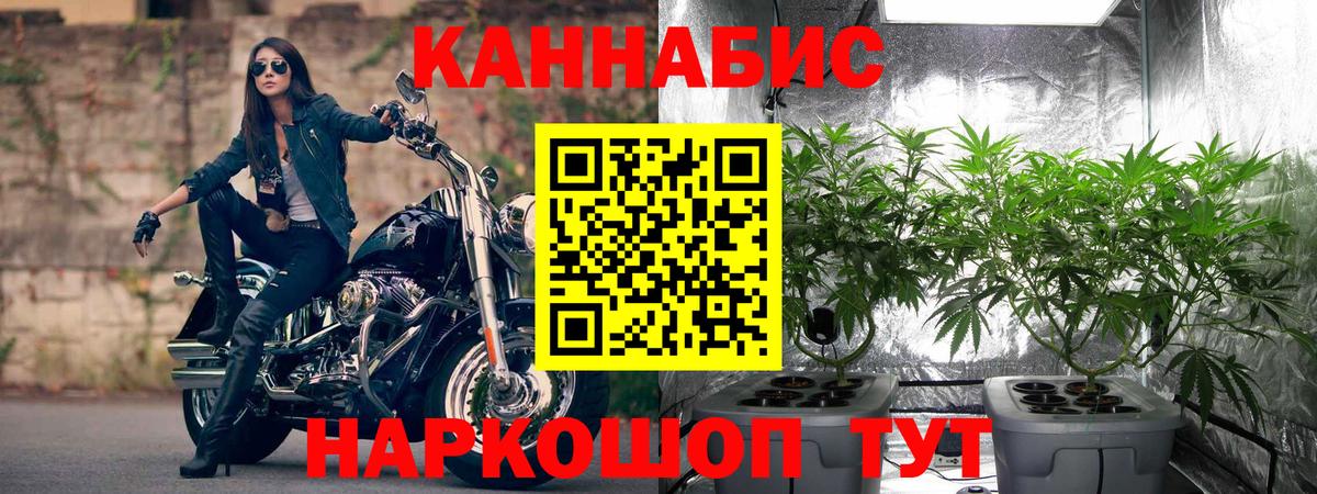 Канабис LSD WEED  Бошки Шишки LSD WEED  Кинешма  Вход с VPN  Конопля план 